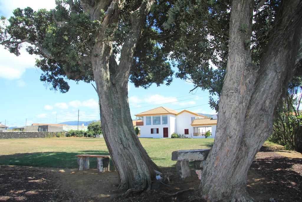 Santana Houses Rabo de Peixe الغرفة الصورة